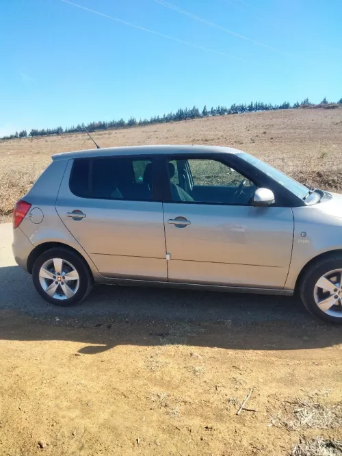 Skoda Fabia 2014 Fresh