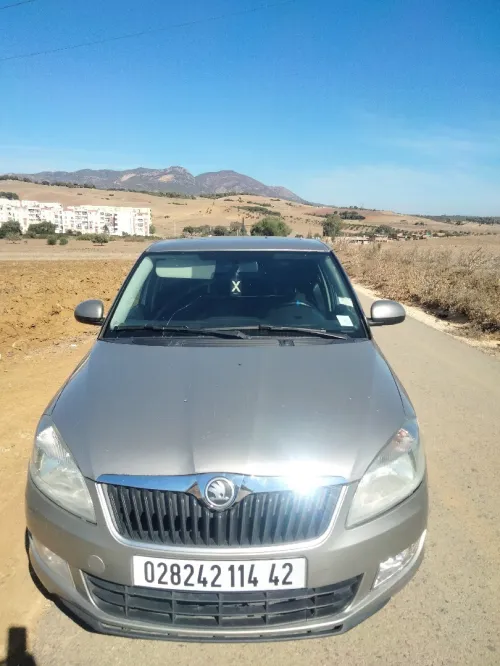 Skoda Fabia 2014 Fresh