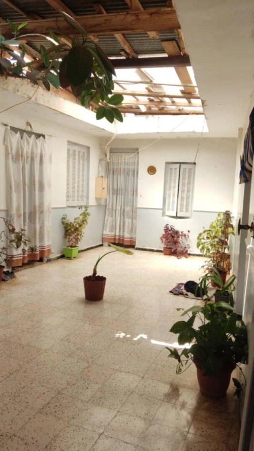 Vente Terrain Tlemcen Tlemcen