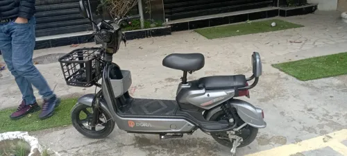 Dora A 2025