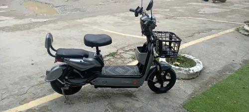 Dora A 2025