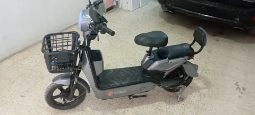 Dora A 2025