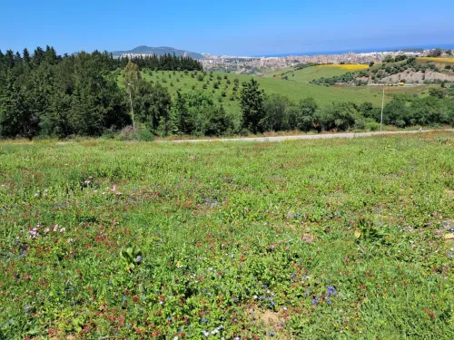 Vente Terrain Jijel Jijel