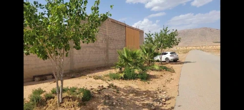 Location Hangar Oum El Bouaghi Ain kercha
