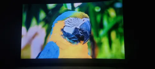 Télévision Thomson Curved Tv 55uc6006s