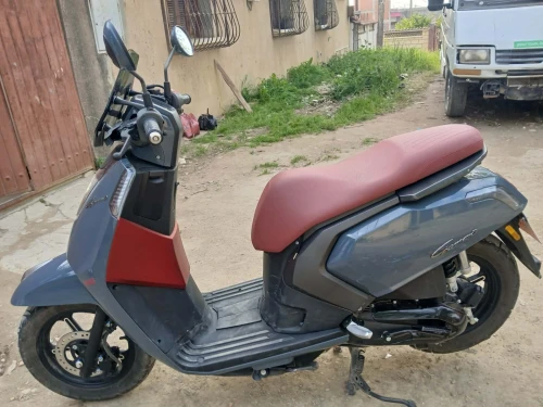 Vms Gemma 2025