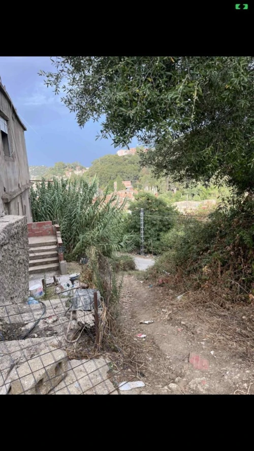 Vente Skikda Collo