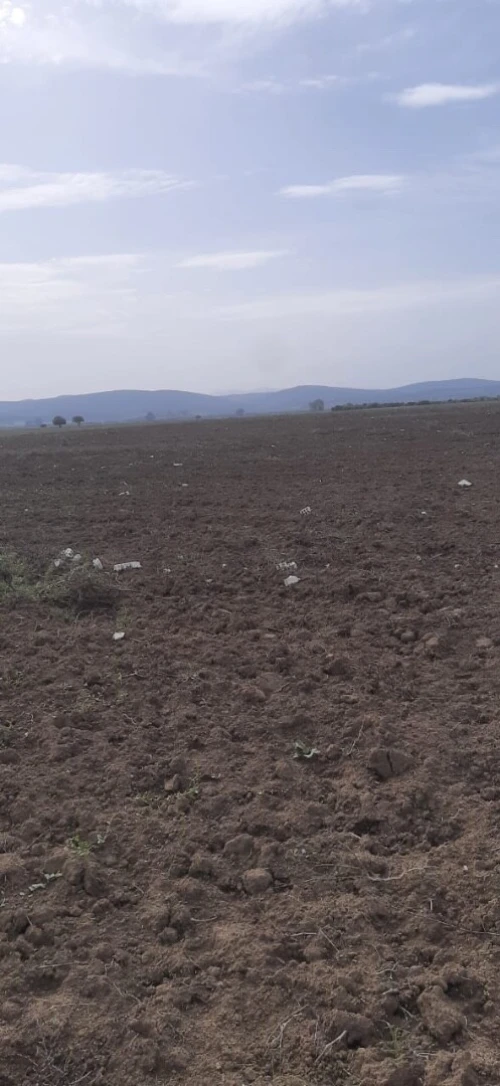 Vente Terrain Agricole Skikda Azzaba