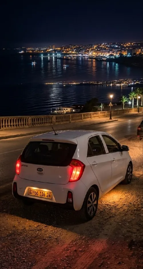 Kia Picanto 2016 Safety 10