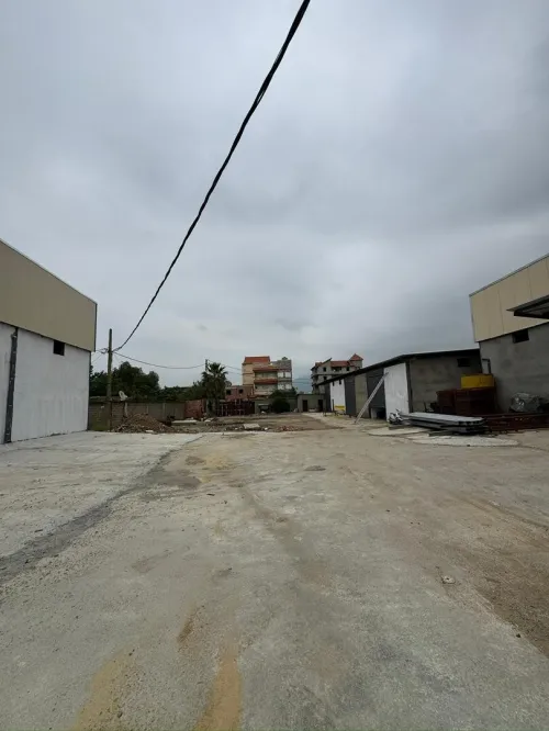 Location Hangar - Usine Blida Ouled selama