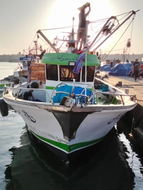 Bateau sardine neuf