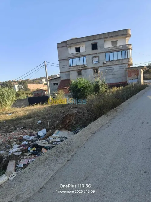 Vente Terrain Boumerdès Ouled moussa