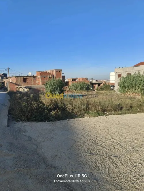 Vente Terrain Boumerdès Ouled moussa