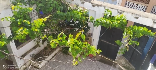 Vente Bungalow Chlef Beni haoua