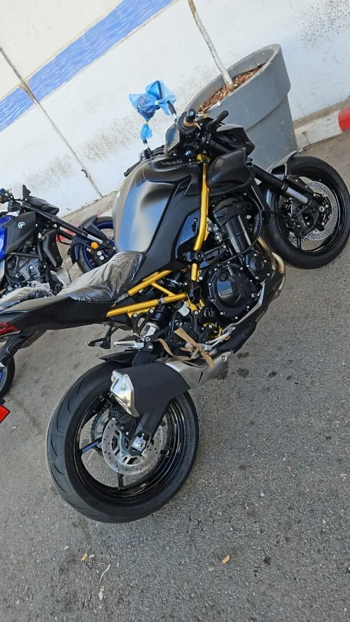 Kawasaki Z900 GOLD 2026