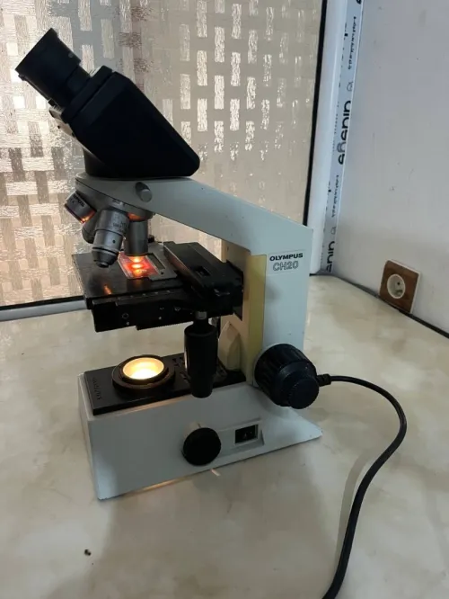 Microscope olympus occasion 