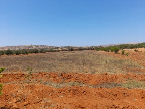 Vente Terrain Agricole Mostaganem Ain boudinar