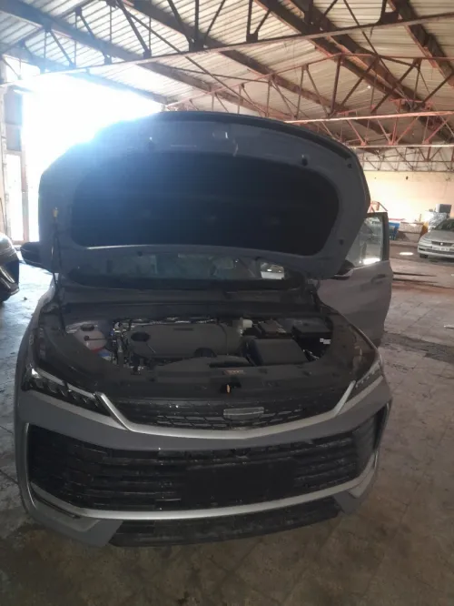 Geely Coolray 2026 Cameleon flagship