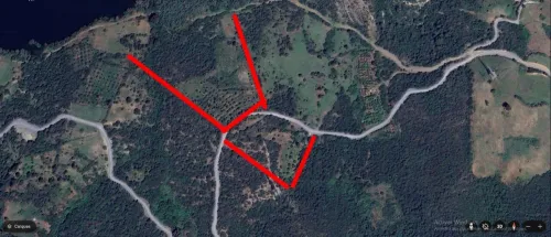 Vente Terrain Agricole Blida Larbaa