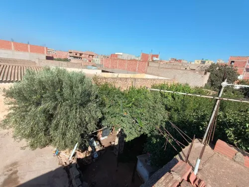 Vente Terrain Mostaganem Hassi maameche