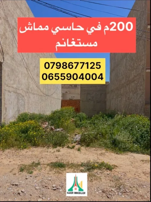 Vente Terrain Mostaganem Hassi maameche