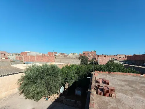 Vente Terrain Mostaganem Hassi maameche