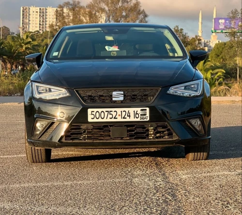 Seat Ibiza 2024 Style