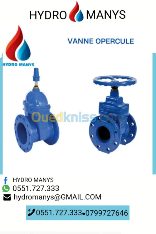 Vanne à opercule (Vanne à bride) DN40-DN600 - (PN16 à PN25