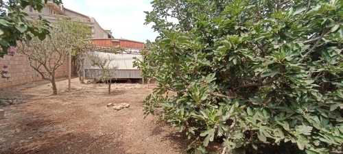 Vente Terrain Oran Ain el bia