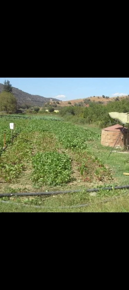 Vente Terrain Bouira Kadiria