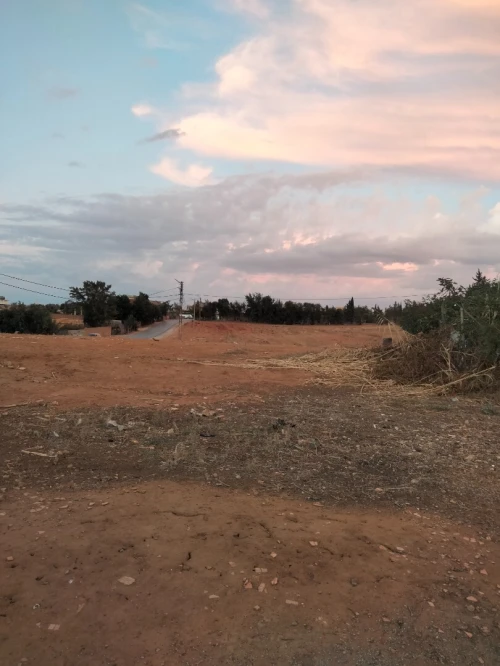 Vente Terrain Mostaganem Sidi ali