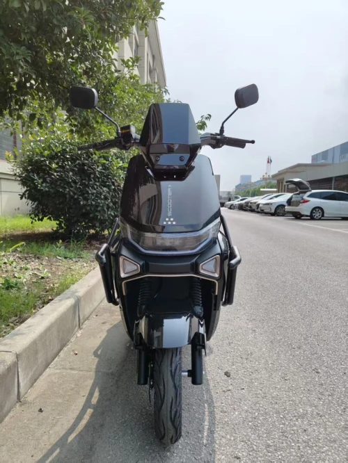 REX Electrique 2025