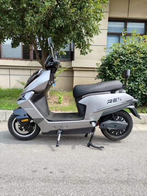 REX Electrique 2025