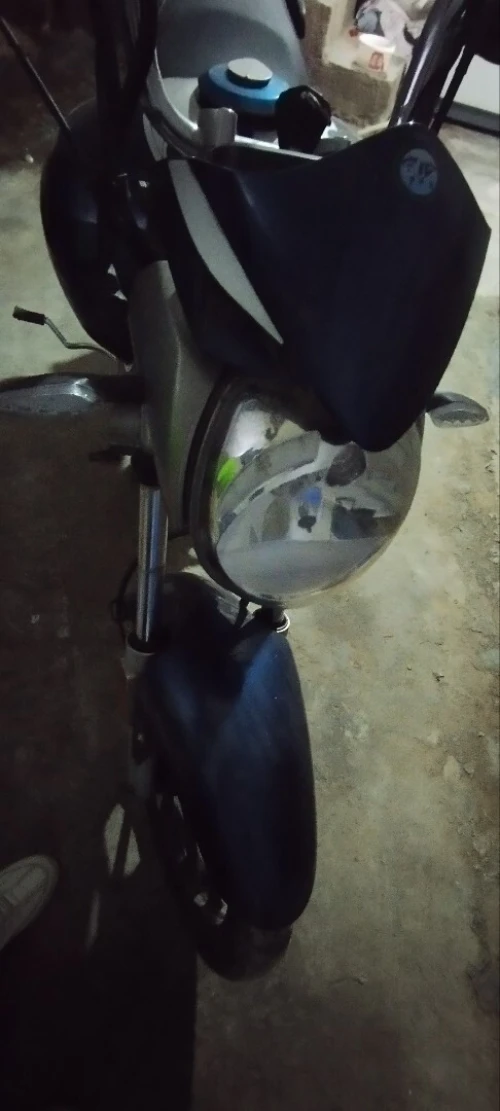 Vms Alfa 2022
