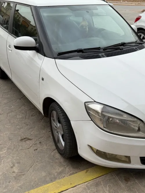 Skoda Fabia 2014 