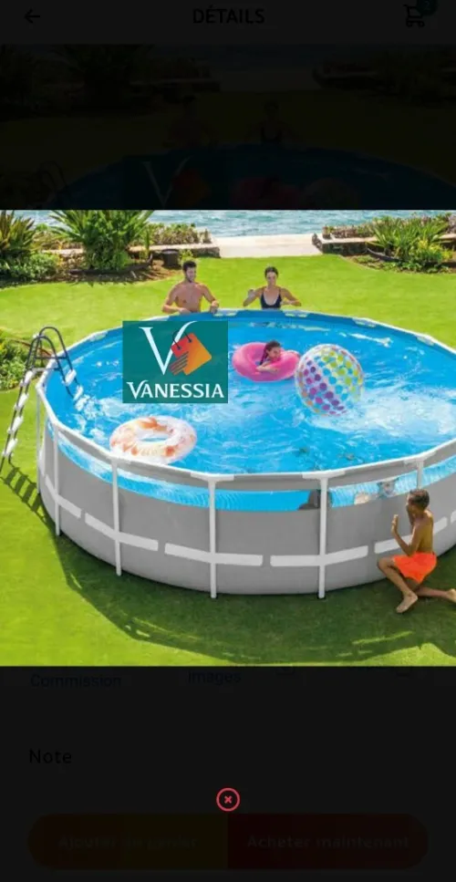 Piscine intex
