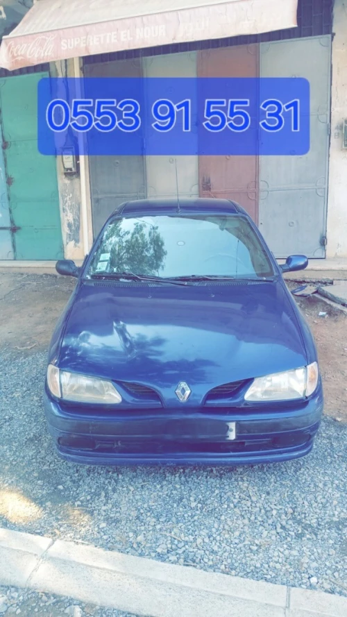 Renault Megane 1 1998 Allizé