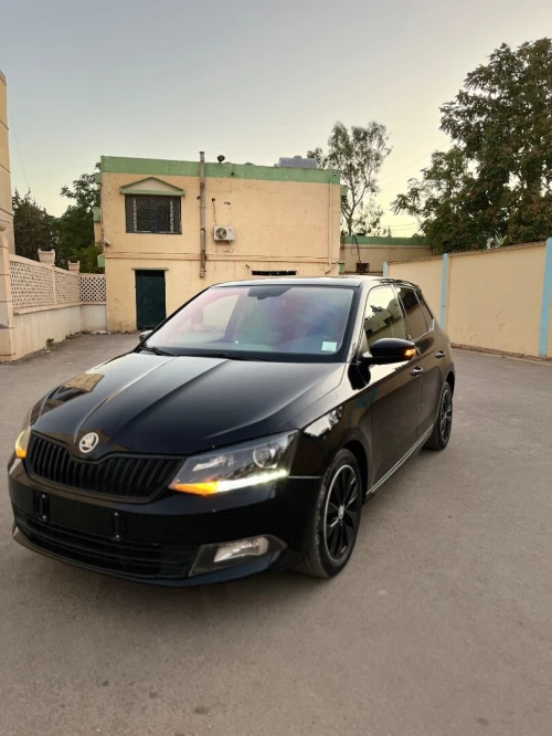 Skoda Fabia 2017 Monte Carlo