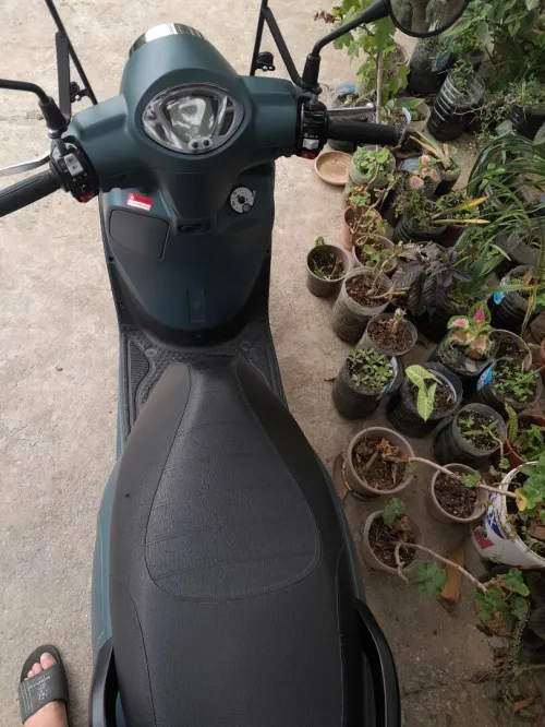 Fidelle 4 Fidelle 4 2024