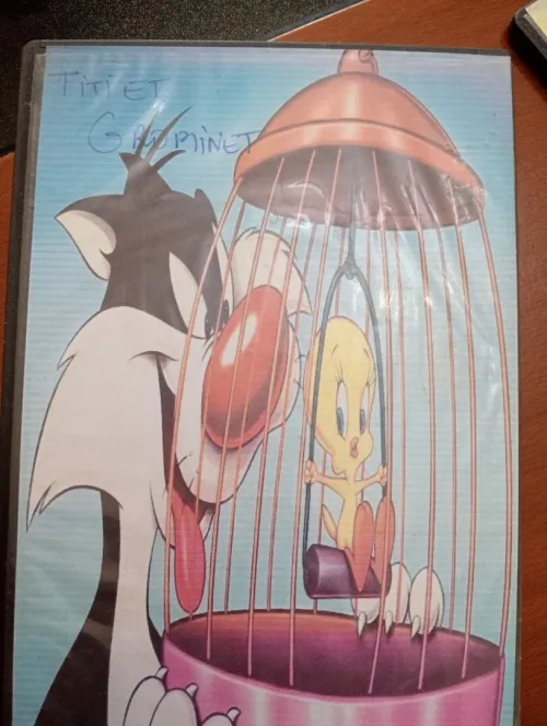 DVD