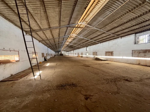 Location Hangar - Usine Oran El braya