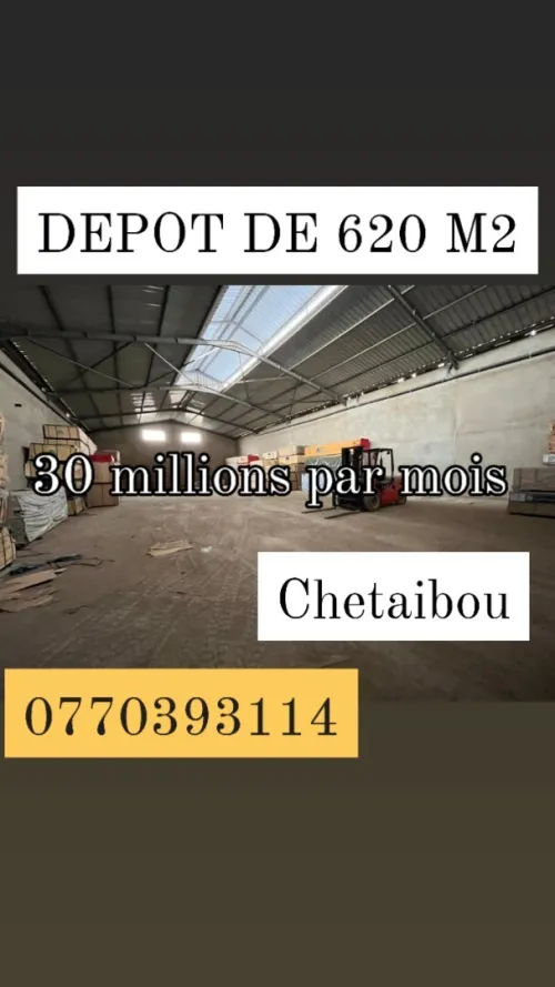 Location Hangar Oran Bir el djir