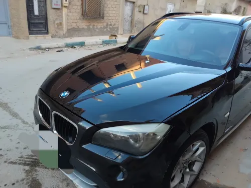 BMW X1 2010 