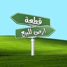Vente Terrain Oran El Kerma