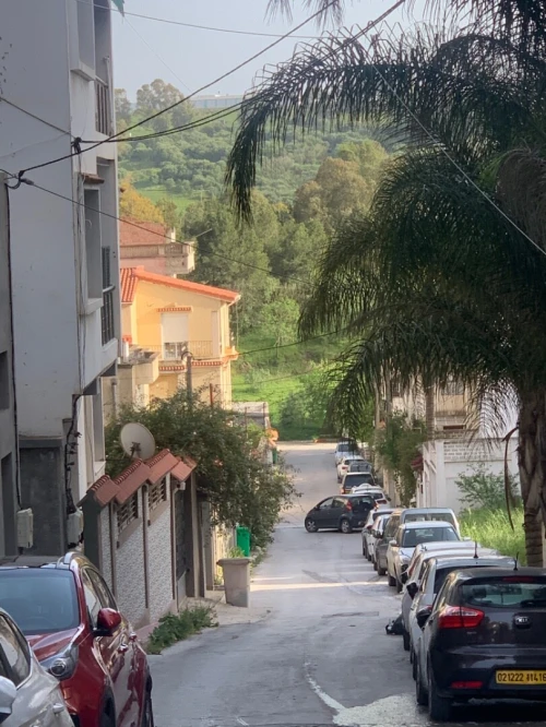 Vente Terrain Alger Dely brahim
