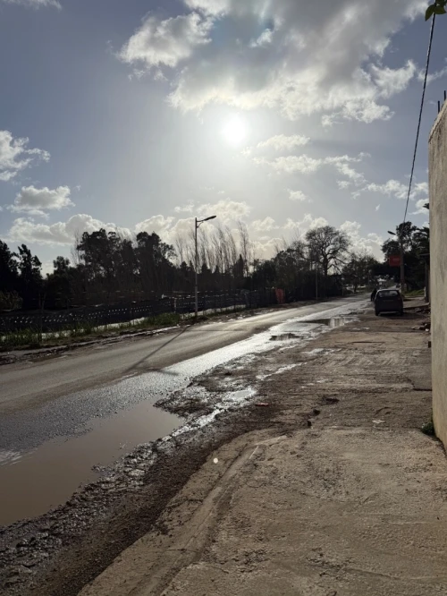 Vente Terrain Tipaza 