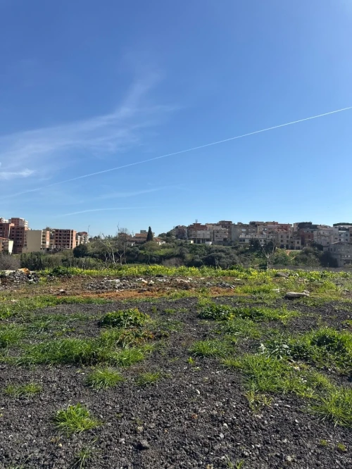 Location Terrain Alger Draria