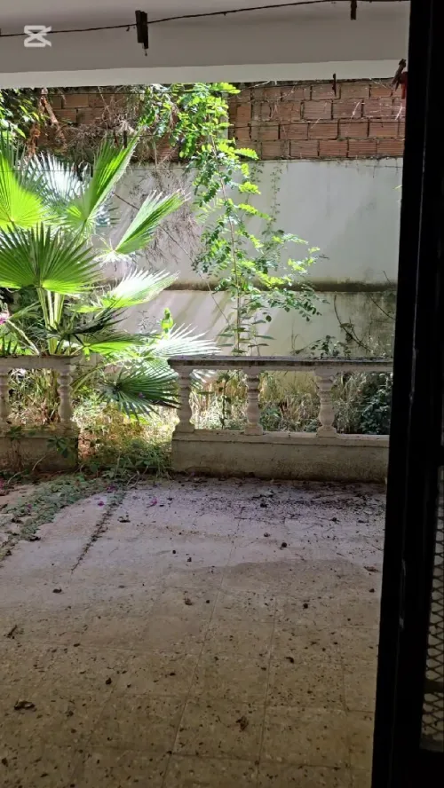 Location Villa Alger Dely brahim