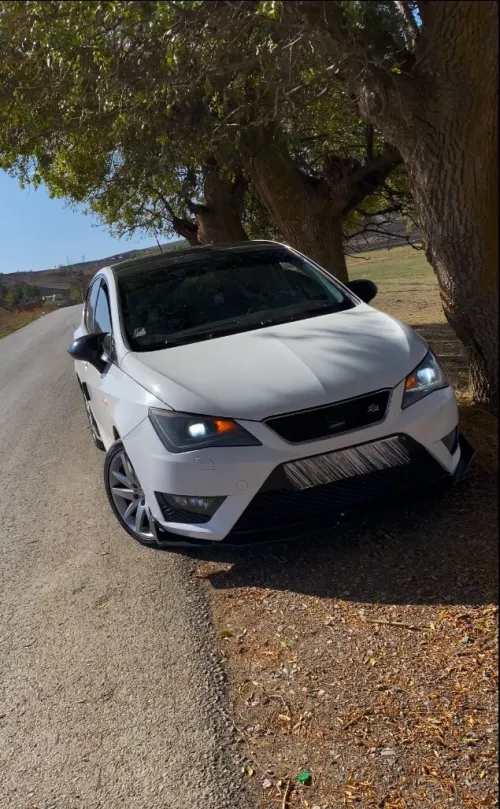 Seat Ibiza 2013 