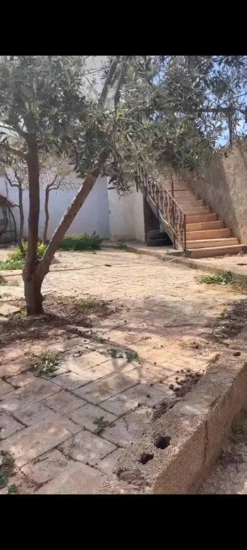 Vente Terrain Tlemcen Beni mester